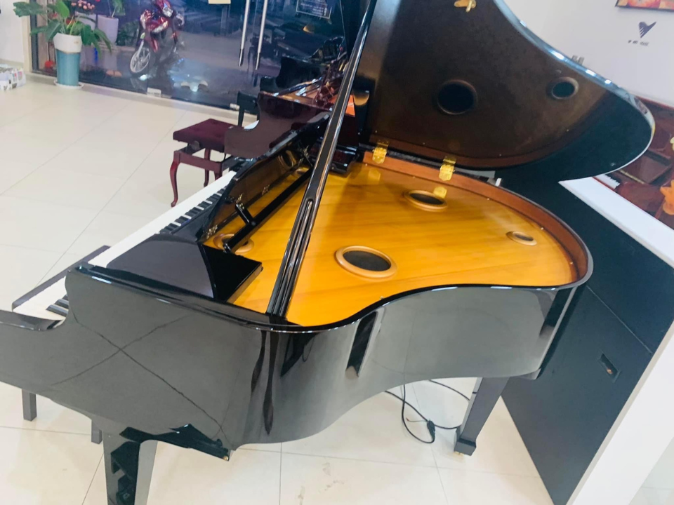 ROLAND RG-7F PE - Ảnh thực tế 3